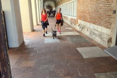 tn_20230528_091341