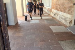tn_20230528_091408